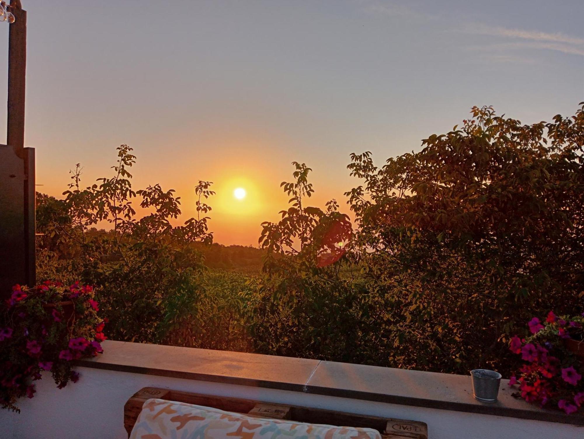 Hotel Milomax Dış mekan fotoğraf