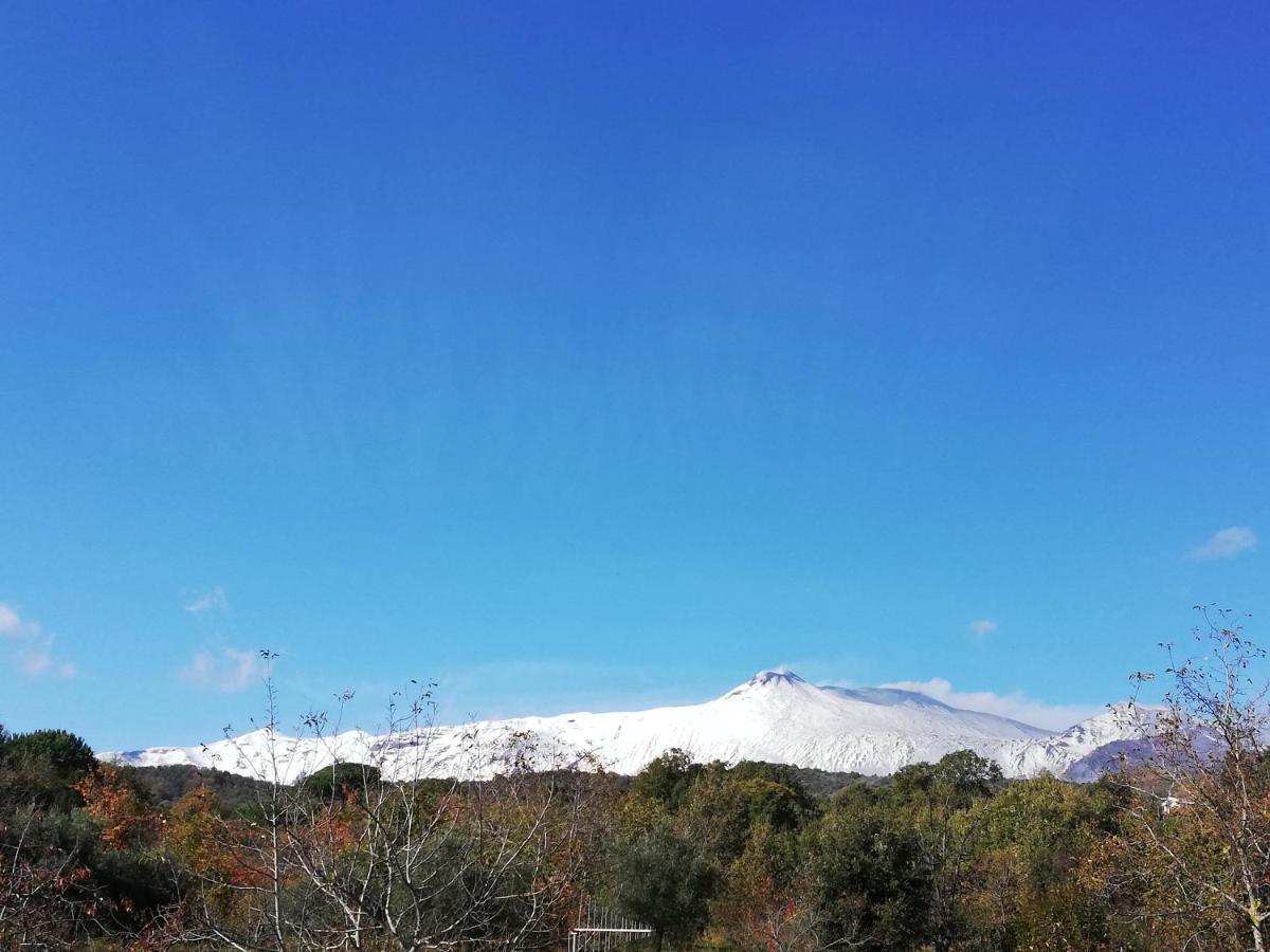 Hotel Milomax Dış mekan fotoğraf